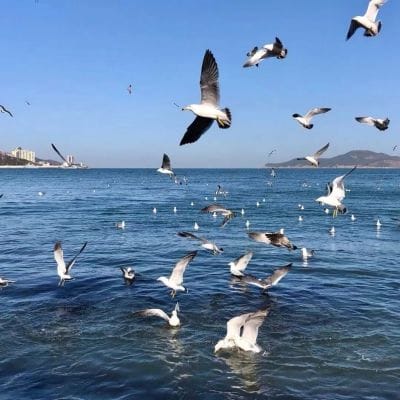 เกรท วรินทร avatar