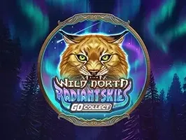 ท้องฟ้าอันเจิดจรัสแห่งดินแดนทางเหนืออันป่าเถื่อน GO Collect screenshot