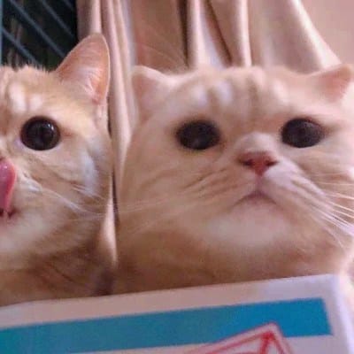 สมัคร สุนทรเวช avatar